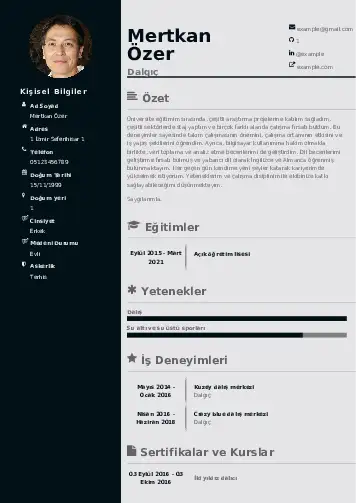 Dalgıç CV Örnekleri cv indir